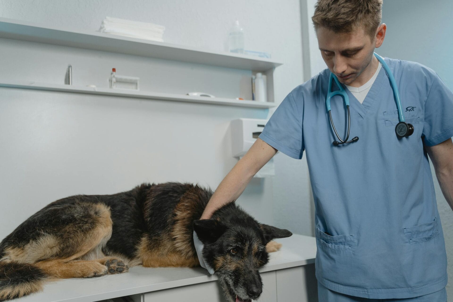 Efficient Waste Management in Veterinary Clinics