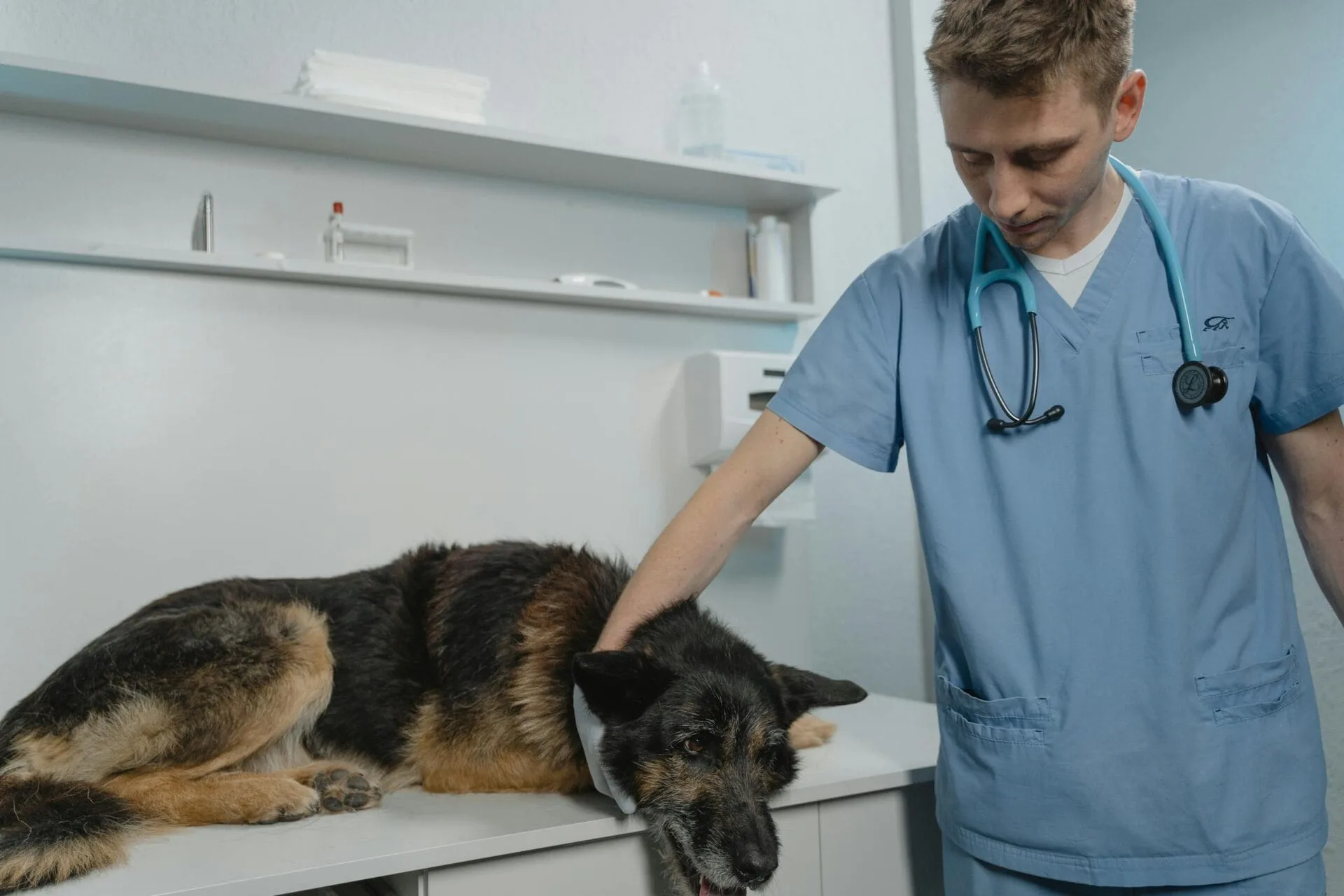 Efficient Waste Management in Veterinary Clinics